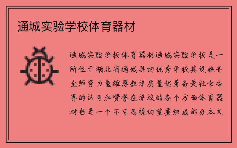 通城实验学校体育器材