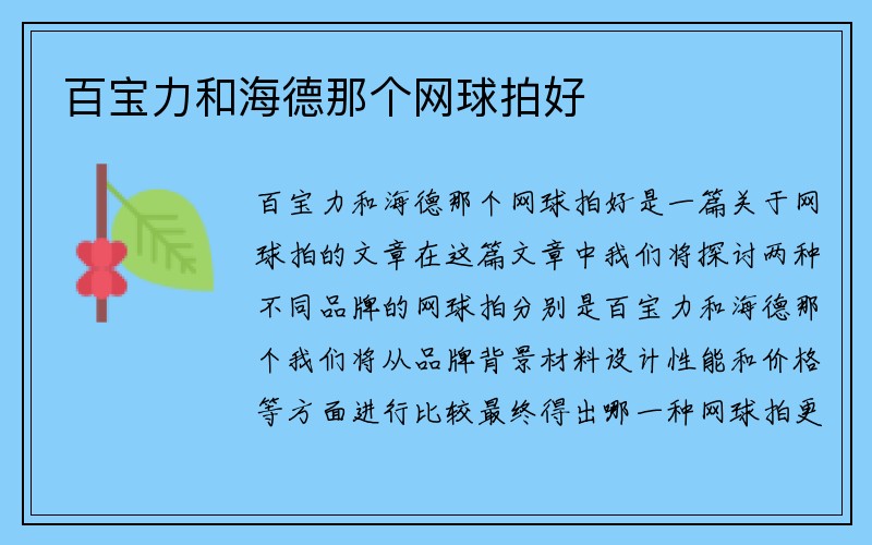 百宝力和海德那个网球拍好