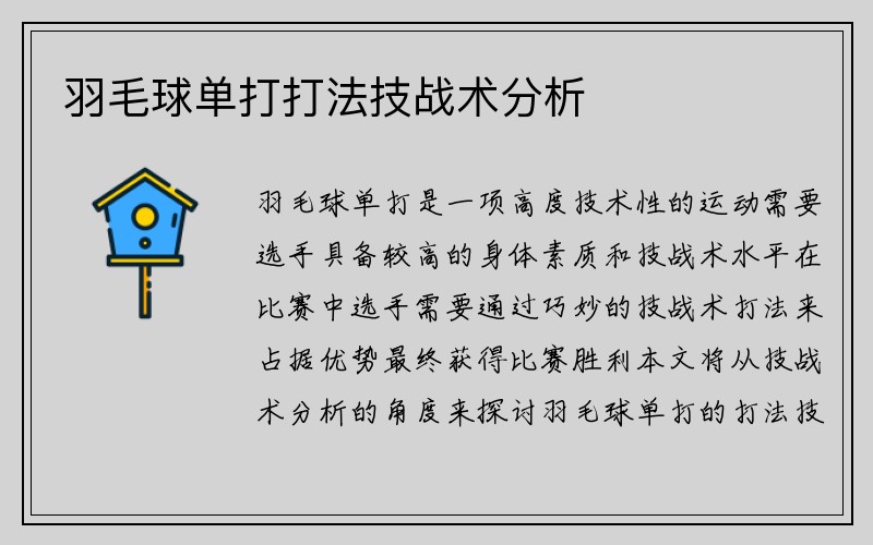 羽毛球单打打法技战术分析