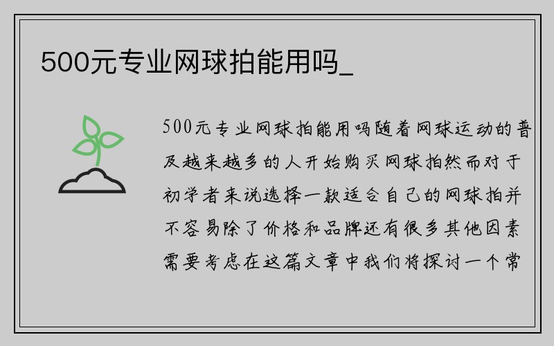 500元专业网球拍能用吗_