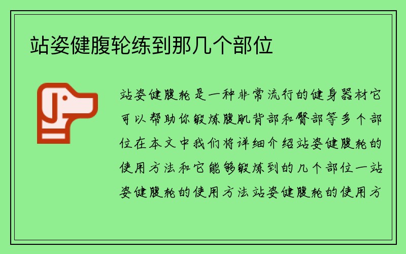 站姿健腹轮练到那几个部位